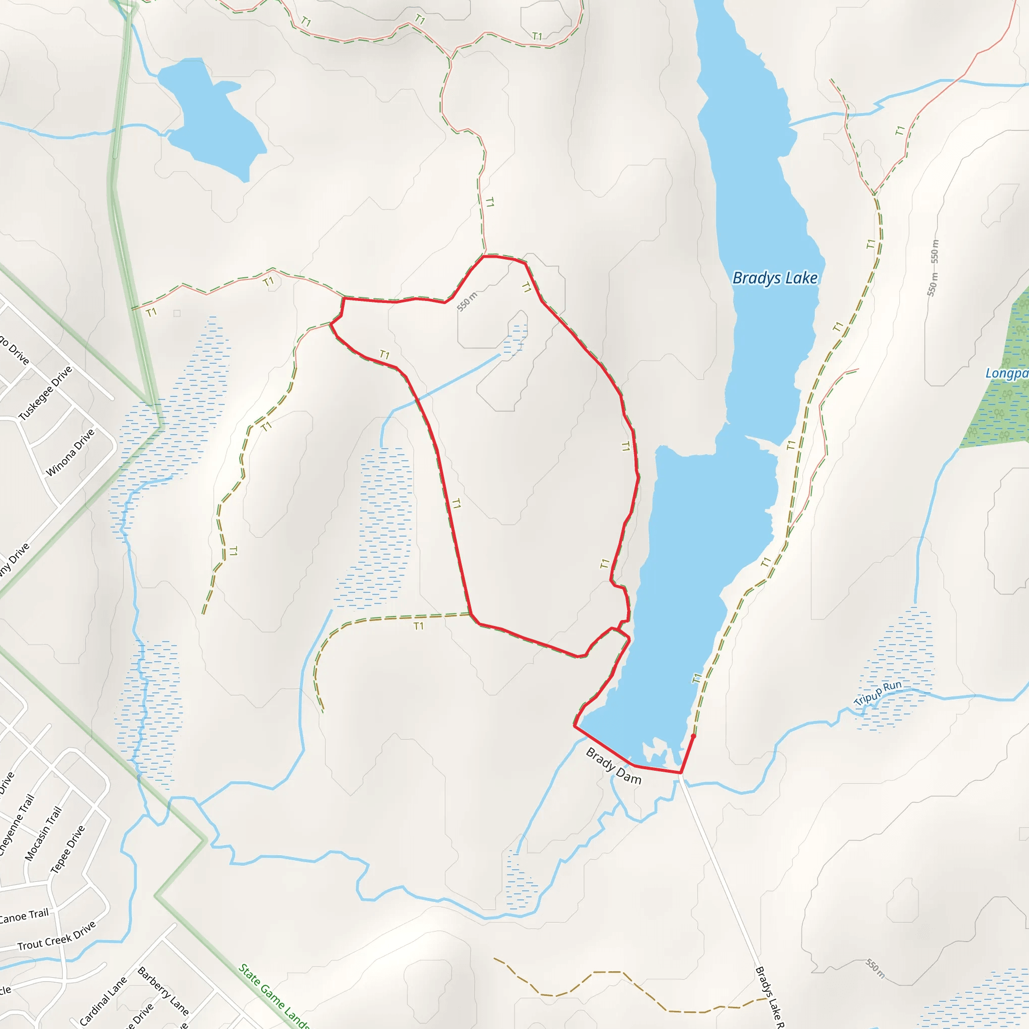 Bradys Pond Trail near Bradys Lake Loop mobile static map