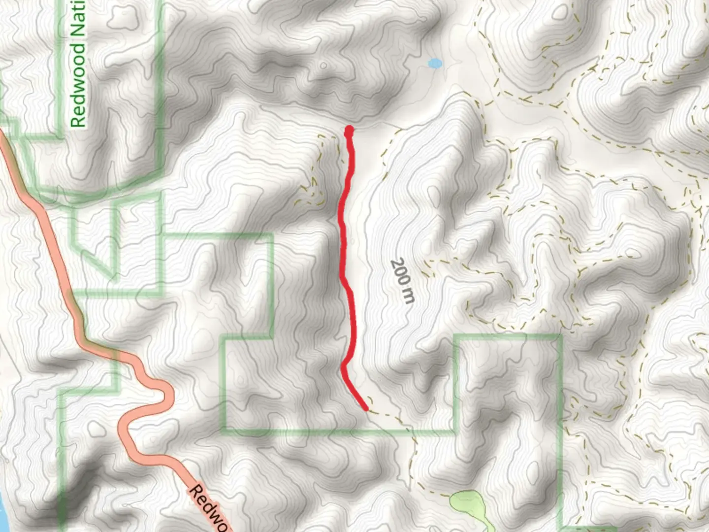 An image depicting the trail Picnic Road Trail and its surrounding area.