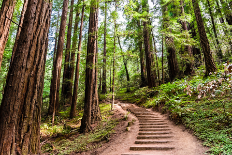 An image depicting the trail Muir Woods to Mount Tamalpais Trail and its surrounding area.
