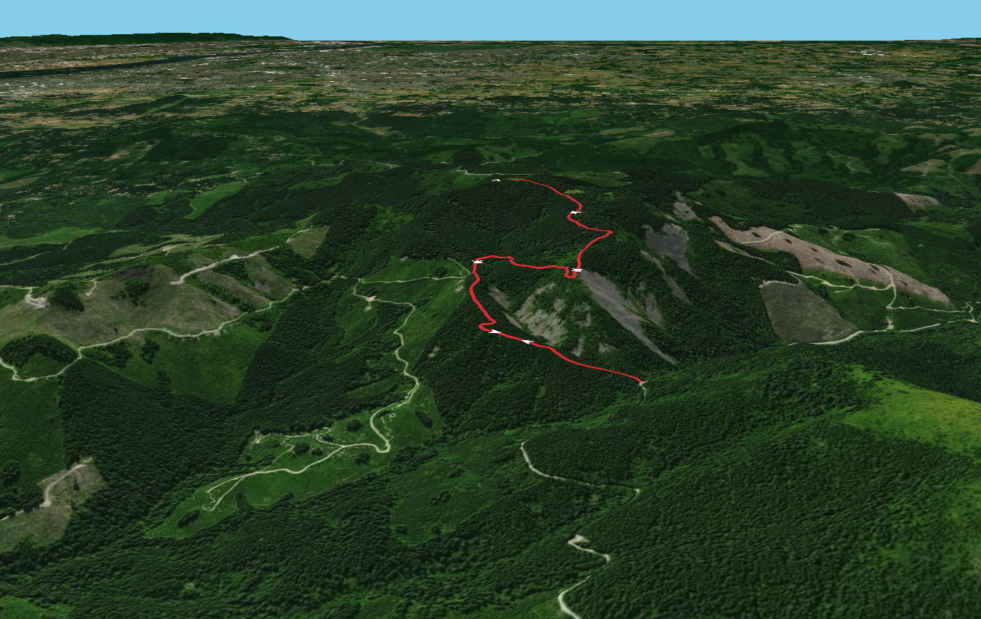 Larch Mountain via Tarbell Trail