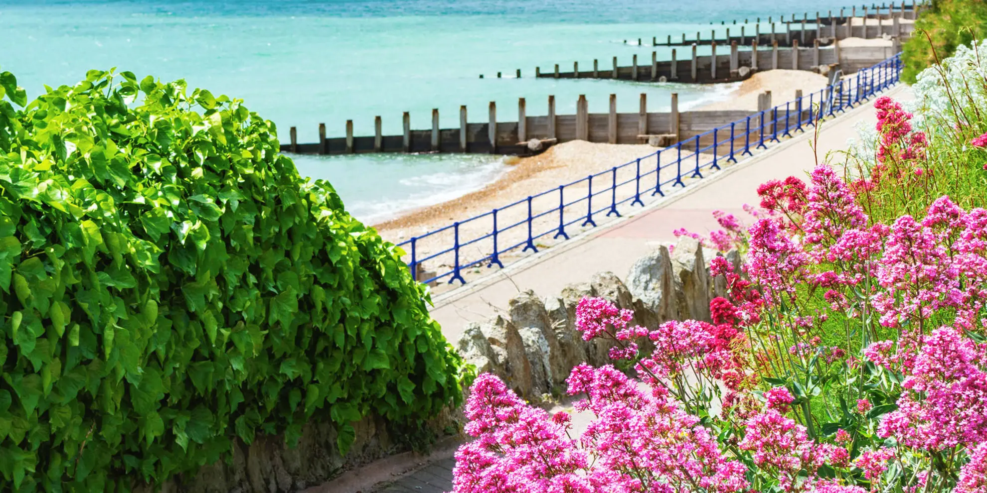 An image depicting the trail Beach Walk at Holywell and its surrounding area.