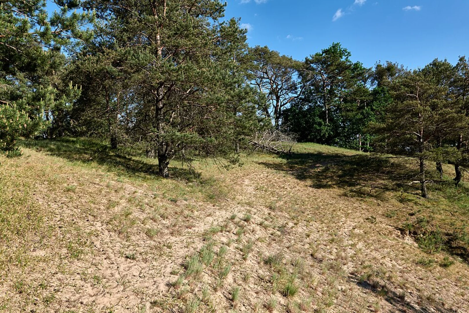 An image depicting the trail Schmergow Loop and its surrounding area.