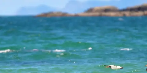 An image depicting the trail Achill Island - Dooagh Loop and its surrounding area.