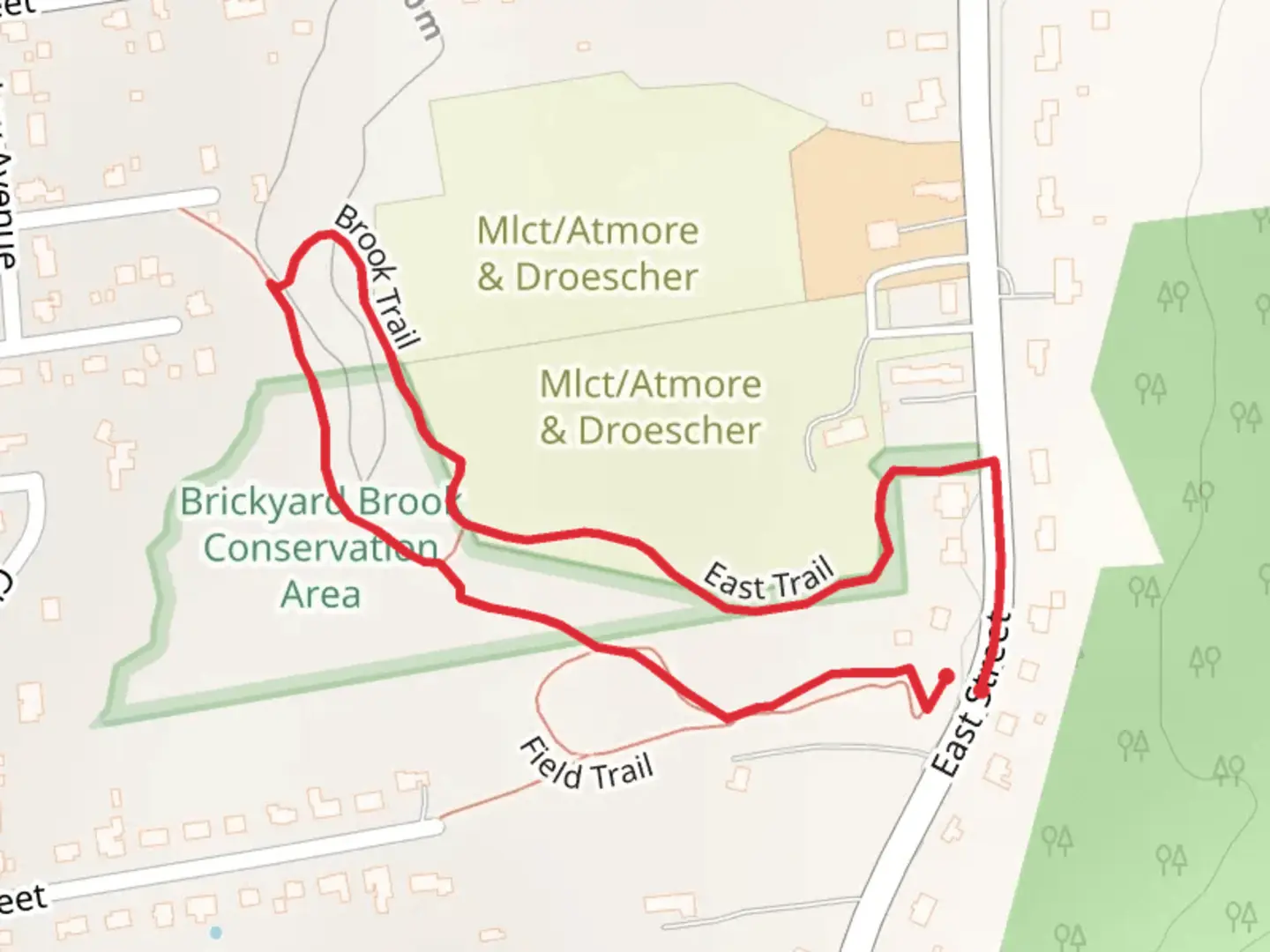 An image depicting the trail Brickyard and Brook Trail Loop and its surrounding area.