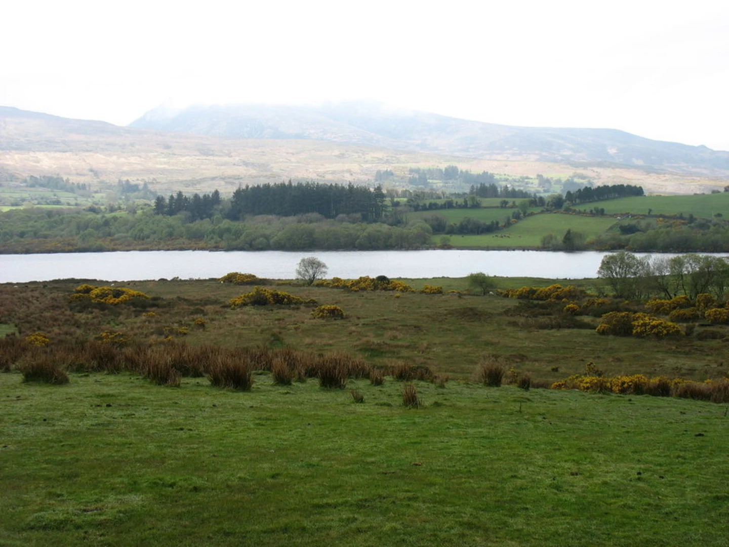 An image depicting the trail Crohane Mountain Walk and its surrounding area.