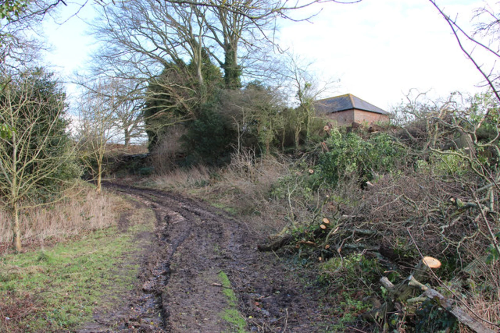 An image depicting the trail Combe Valley Countryside Park Loop and its surrounding area.