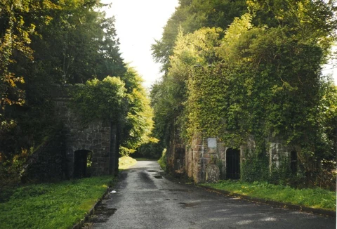 An image depicting the trail Castle Caldwell Forest - Castle Scenic Walk and its surrounding area.