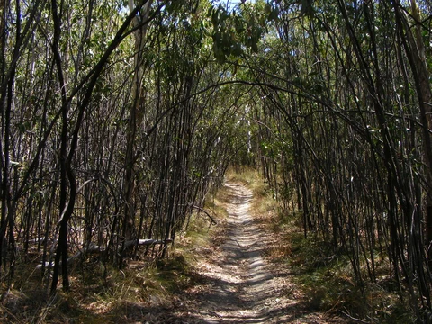 Southern Park - Perimeter Loop Trail