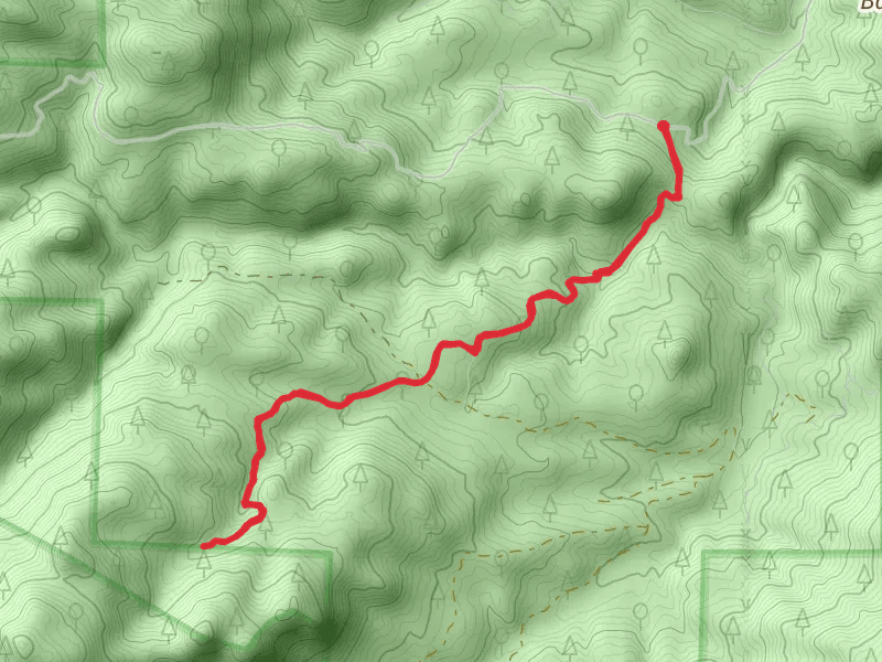 Upper Bear Creek Road