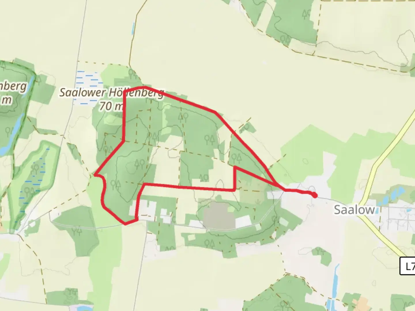 An image depicting the trail Saalower Hollenberg Loop and its surrounding area.