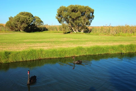 Herdsman Loop and Olive Seymour Boardwalk