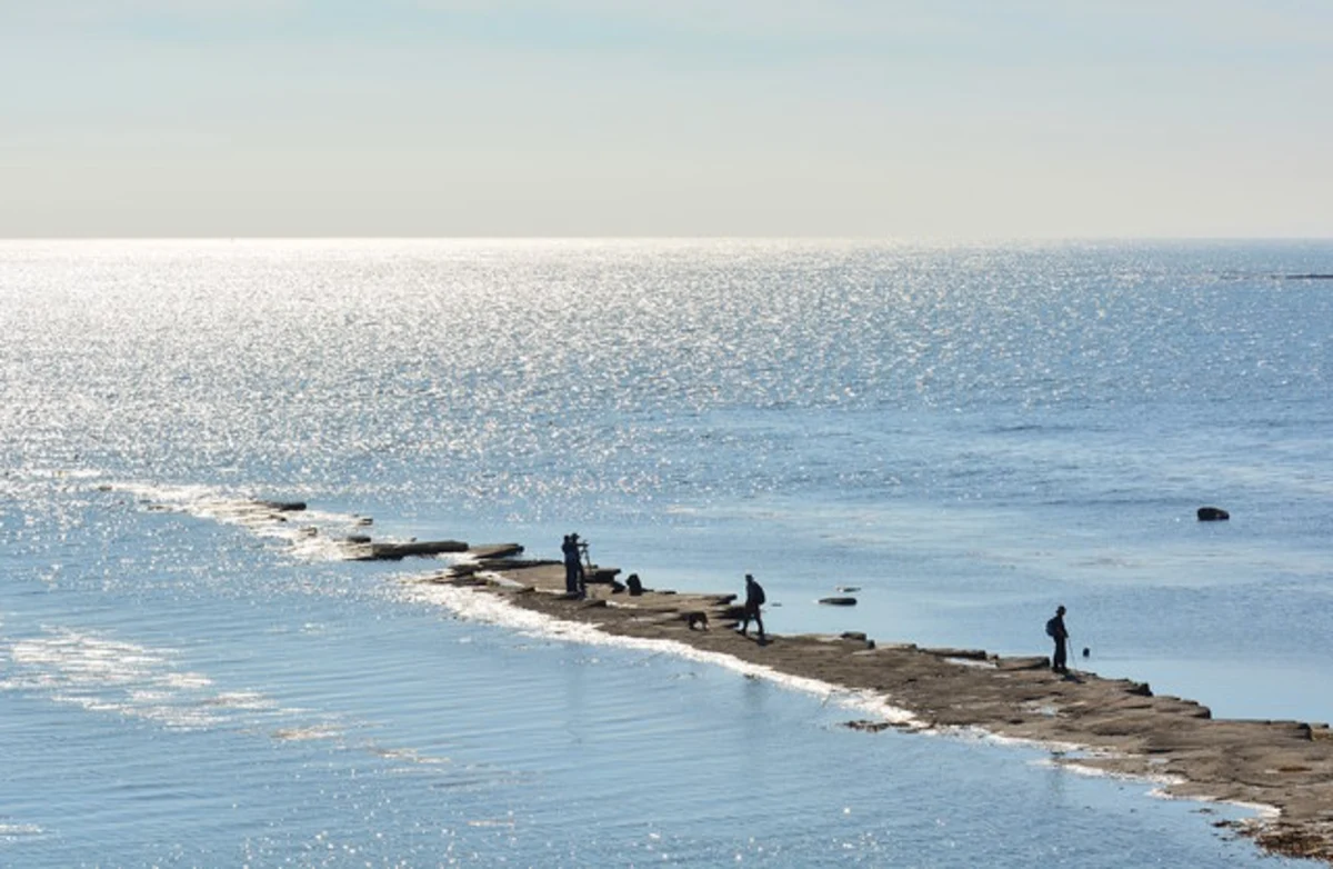 Washing Ledge and Tyneham Gwyle Walk