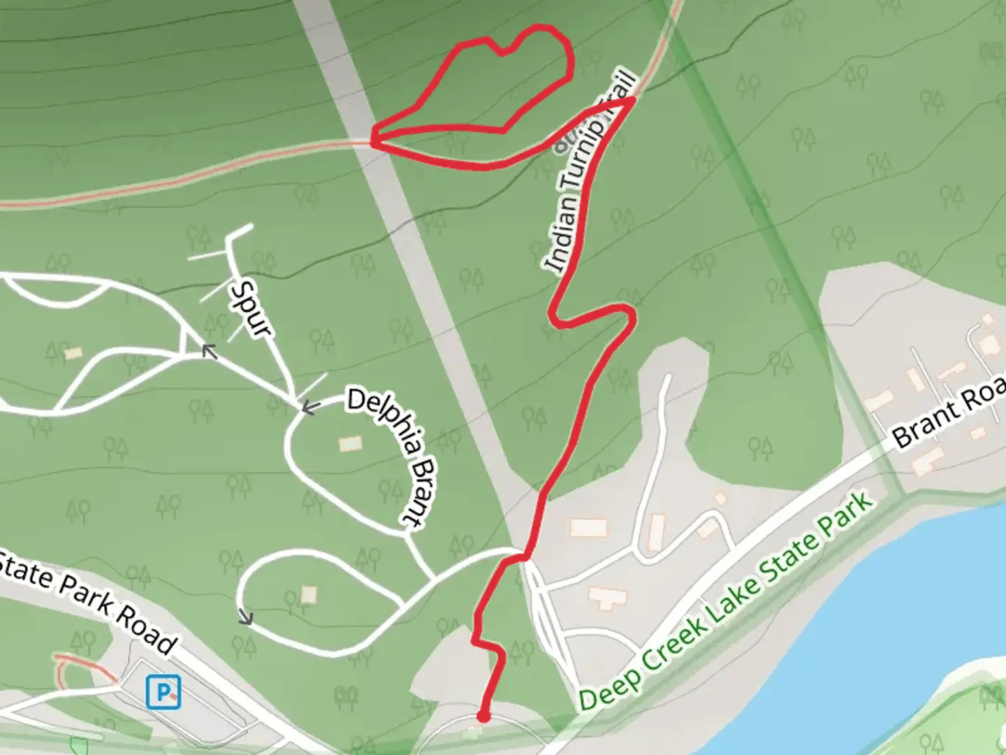 An image depicting the trail Indian Turnip Trail and Meadow Mountain Trail and its surrounding area.
