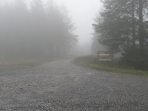Glenregan Forest Recreation Area - Glenregan Loop