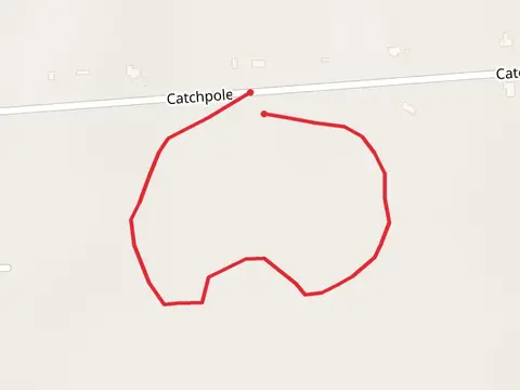 Catchpole Road Loop