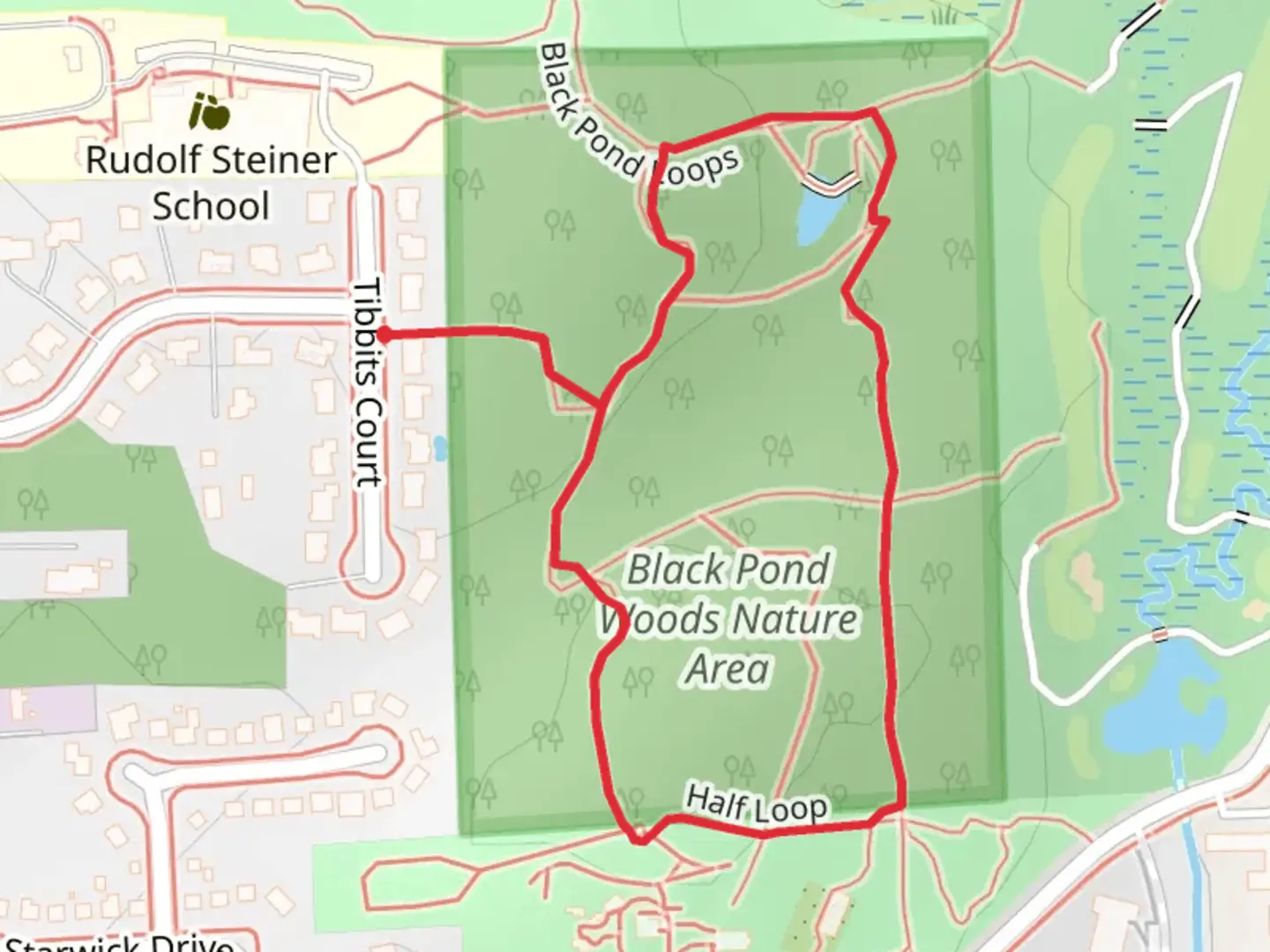An image depicting the trail Black Pond Woods Nature Area Loop and its surrounding area.