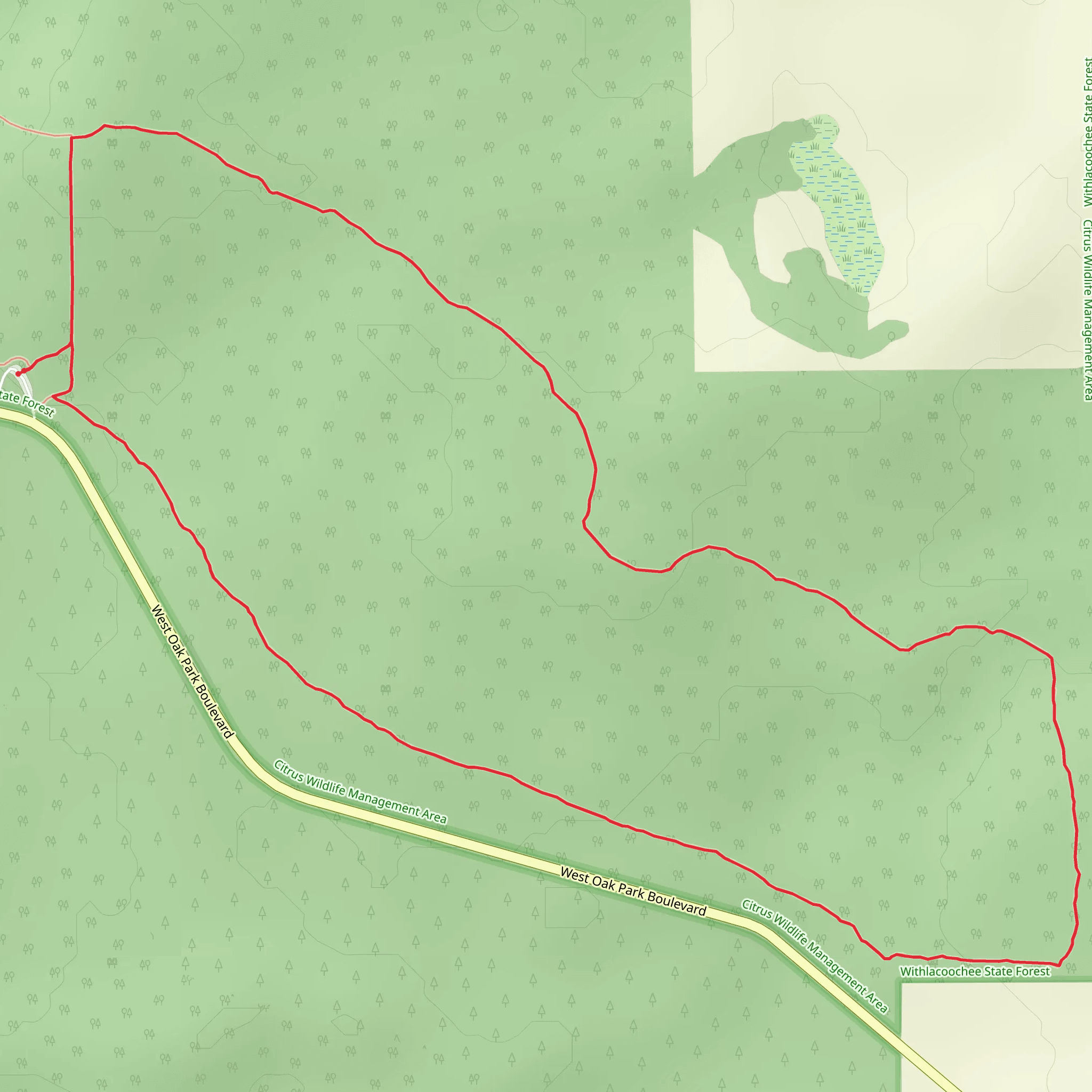 Withlacoochee State Forest Citrus Wildlife Management Area Oak Park North Loop Trail mobile static map