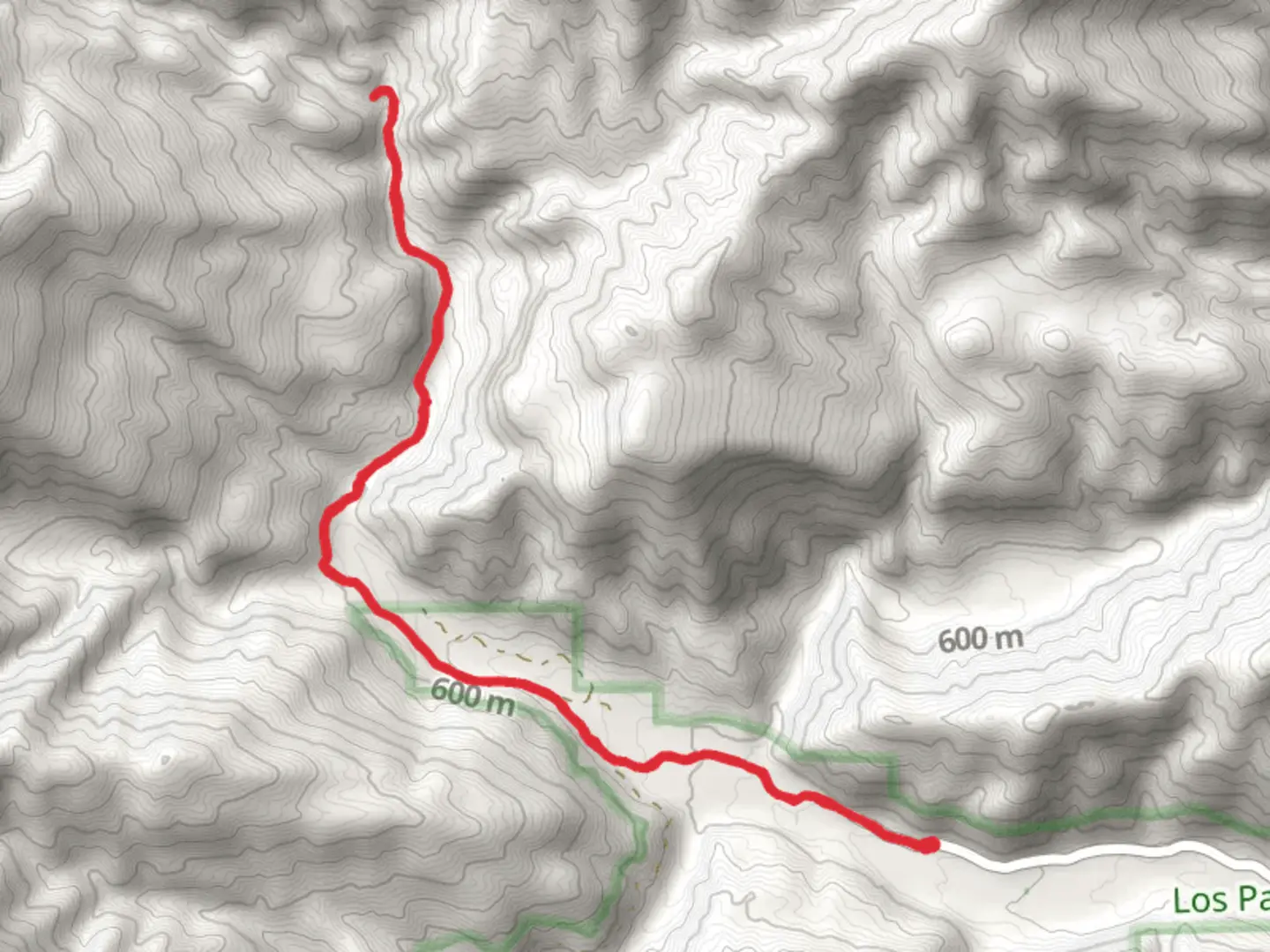 An image depicting the trail Walk along Matilija Creek and its surrounding area.