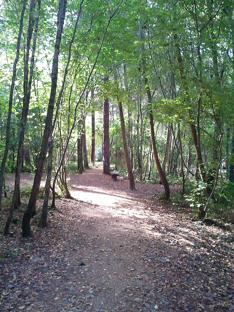 An image depicting the trail Itchen Valley Country Park and its surrounding area.