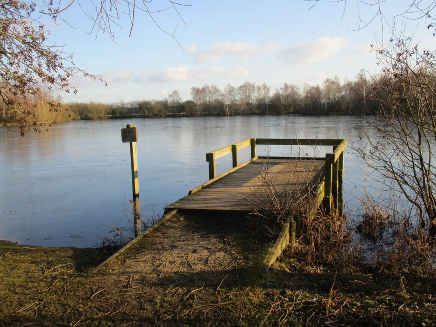 An image depicting the trail Daneshill Lakes Nature Reserve Loop and its surrounding area.