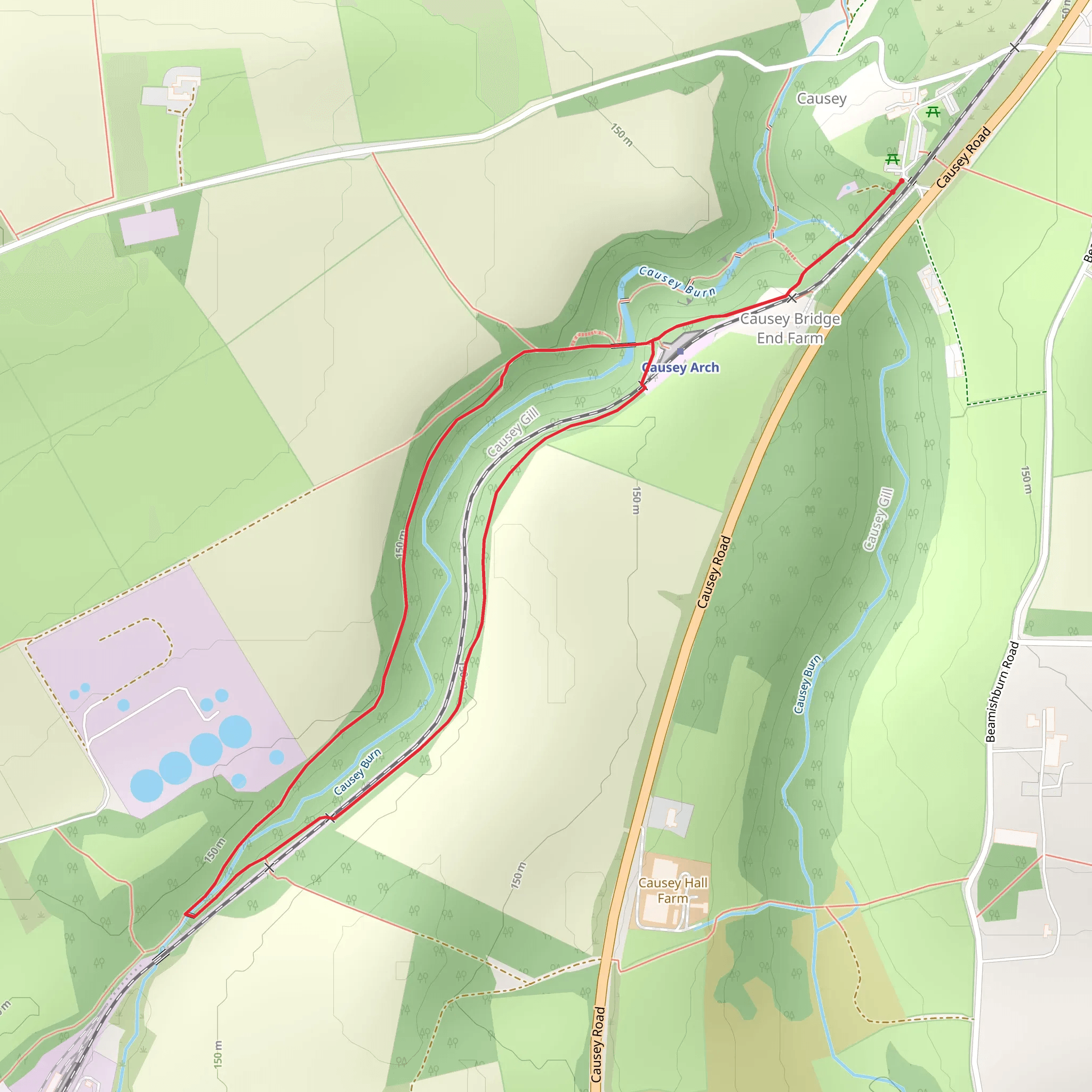 Causey Arch Walk mobile static map