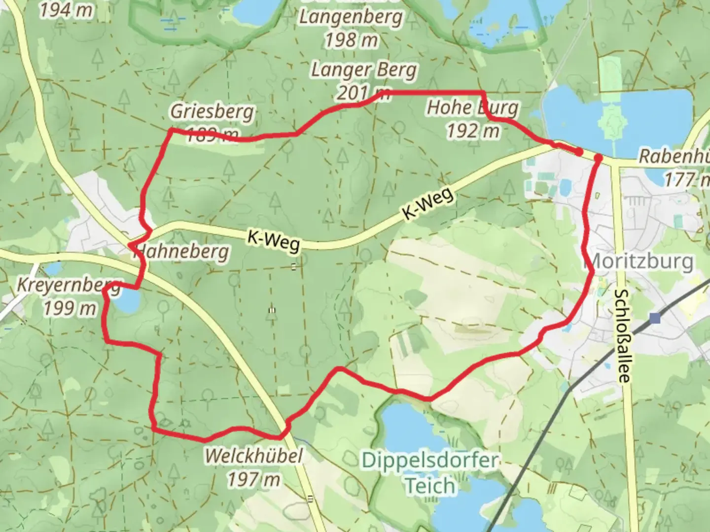 An image depicting the trail Ilschenteich via Auer Rundweg and its surrounding area.