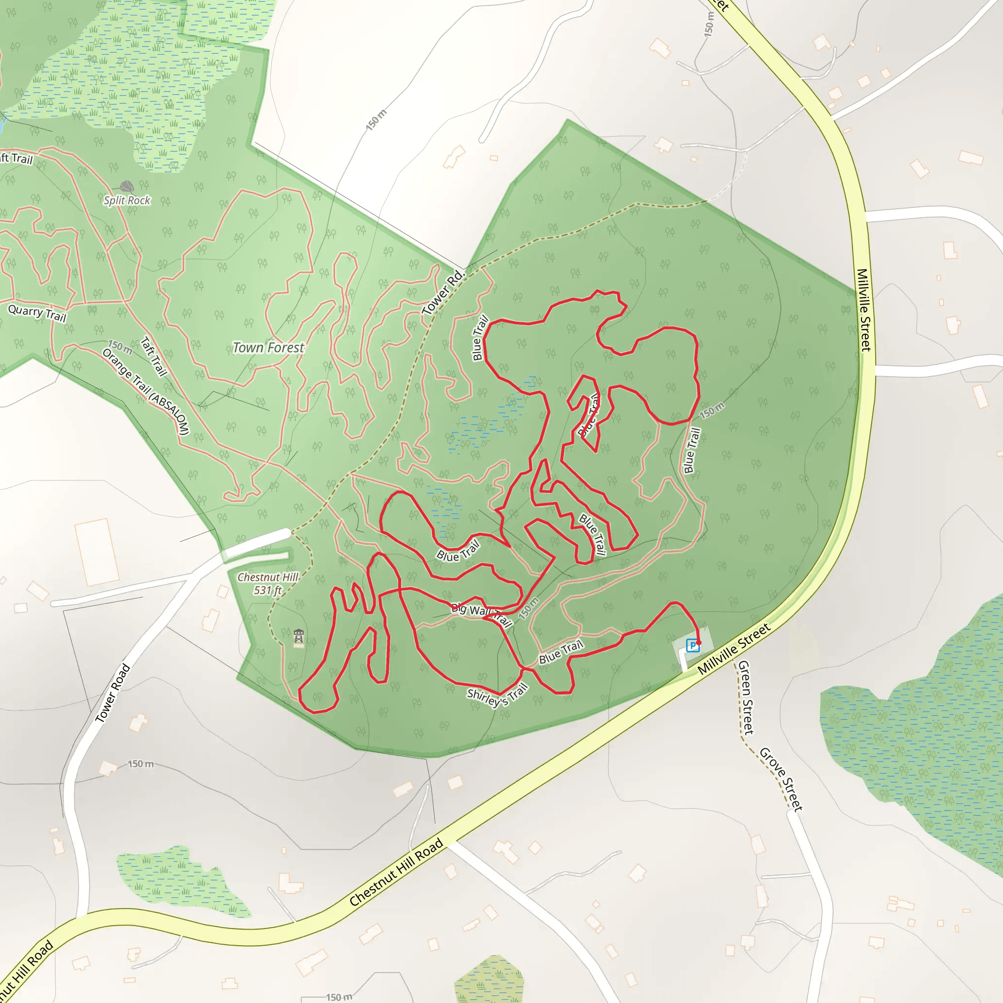 Blue Trail Loop from Millville Street mobile static map
