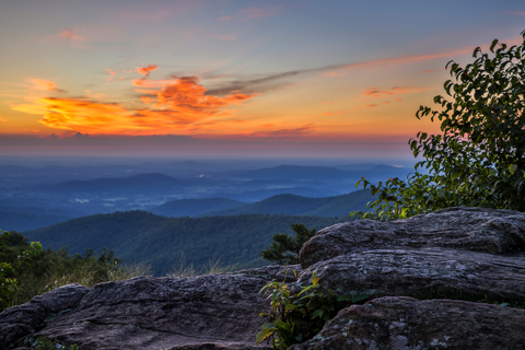 An image depicting the trail Buck Hollow Trail and Buck Ridge Loop Trail and its surrounding area.