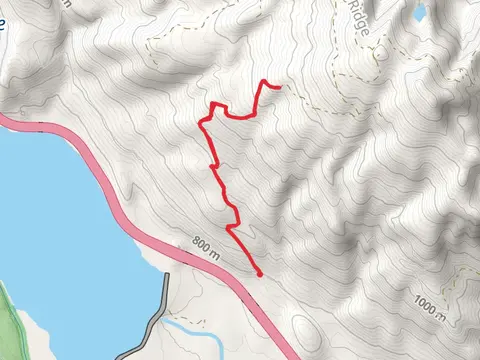 Walk beside Price Creek