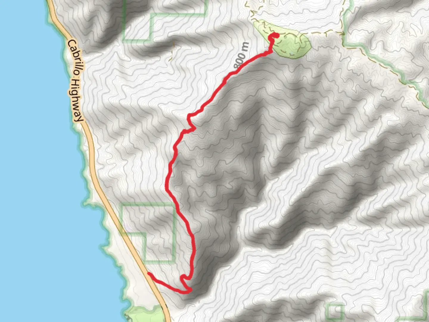 An image depicting the trail Prewitt Ridge Trail via Prewitt Ridge Campground and its surrounding area.