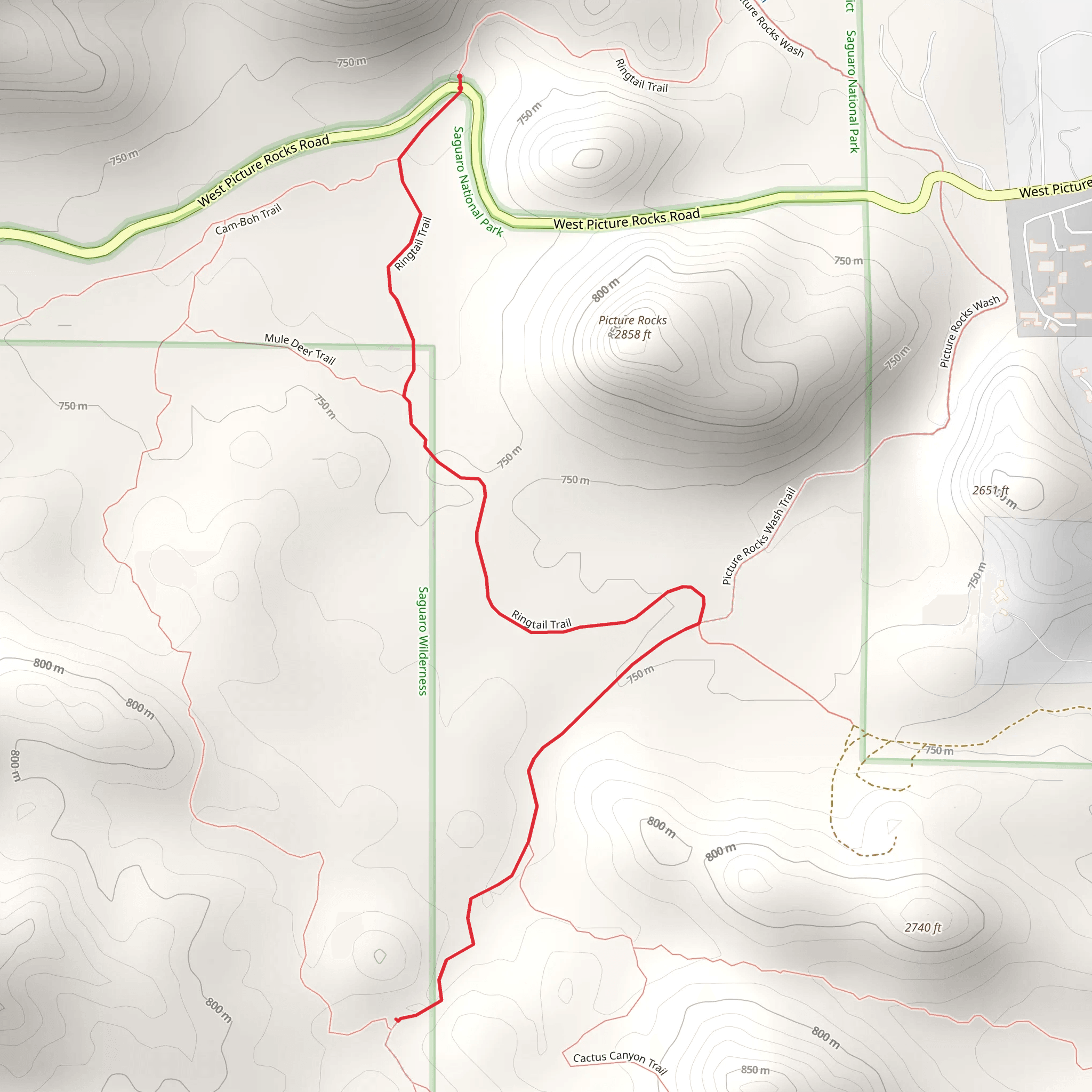 Picture Rocks Wash Trail and Ringtail Trail mobile static map
