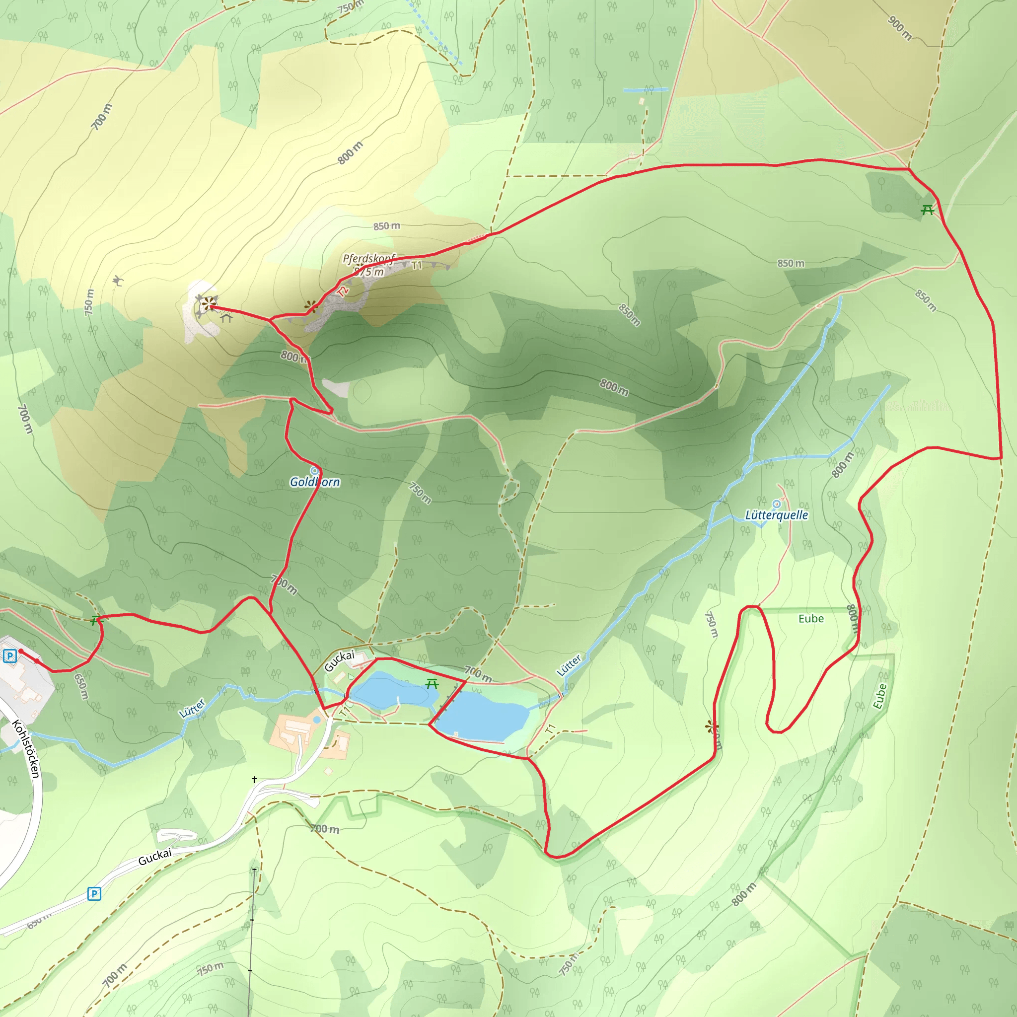 Kleine Schutzgrotte, Pferdskopf and Guckaisee Loop via Wasserkuppenrundweg mobile static map