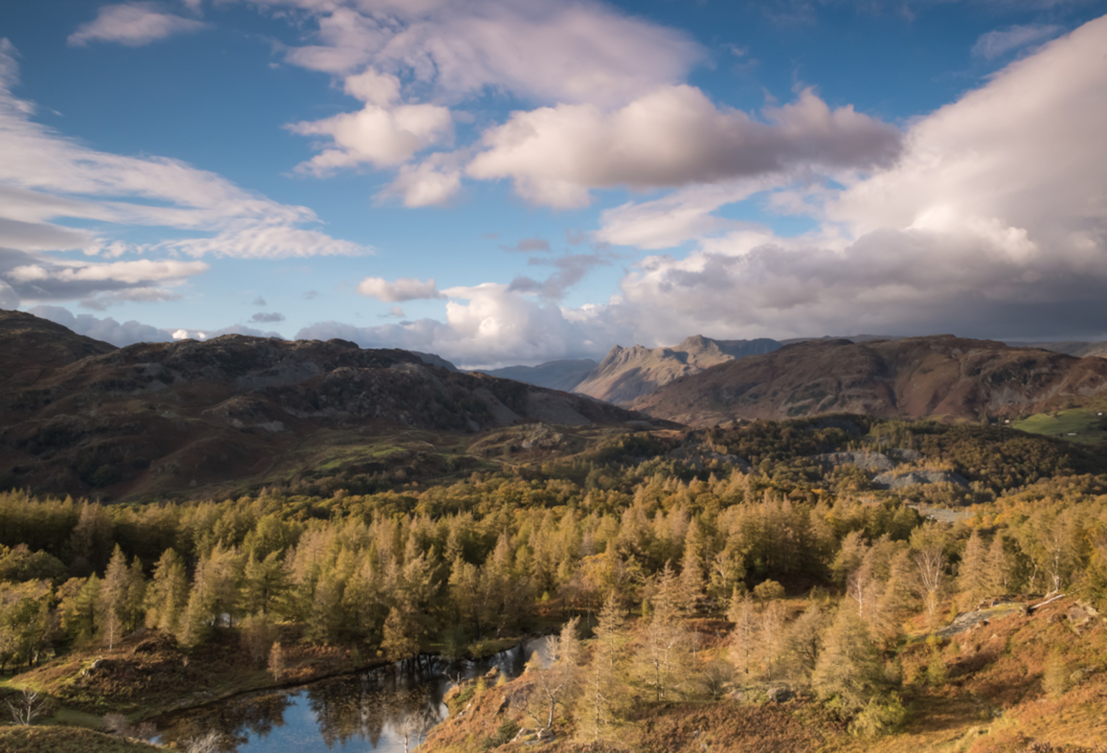 An image depicting the trail Holme Fell and its surrounding area.