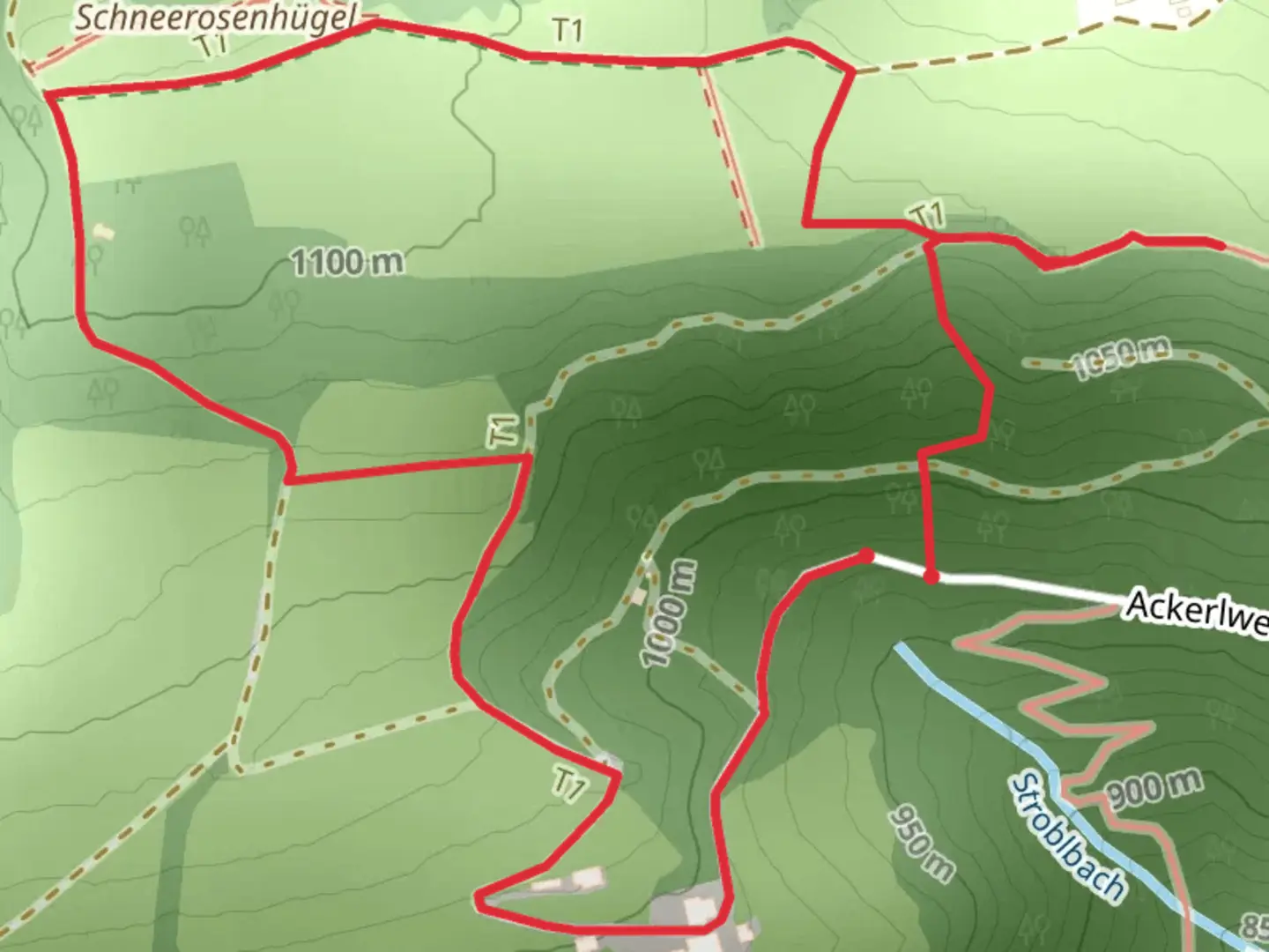 An image depicting the trail Tree Horoscope Path - Gröbming and its surrounding area.