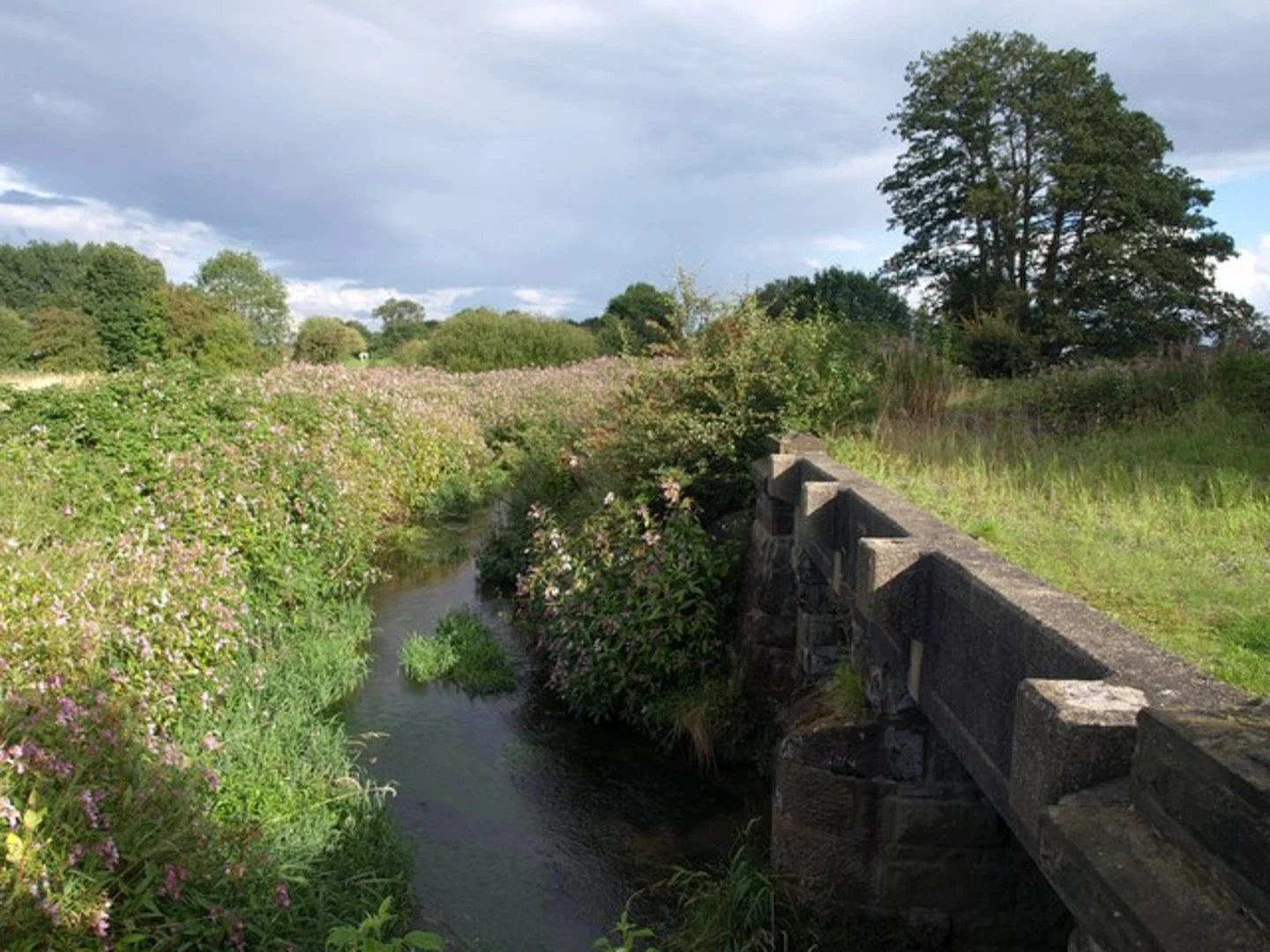 An image depicting the trail Malljur's Covert and Sinderland Brook Walk and its surrounding area.