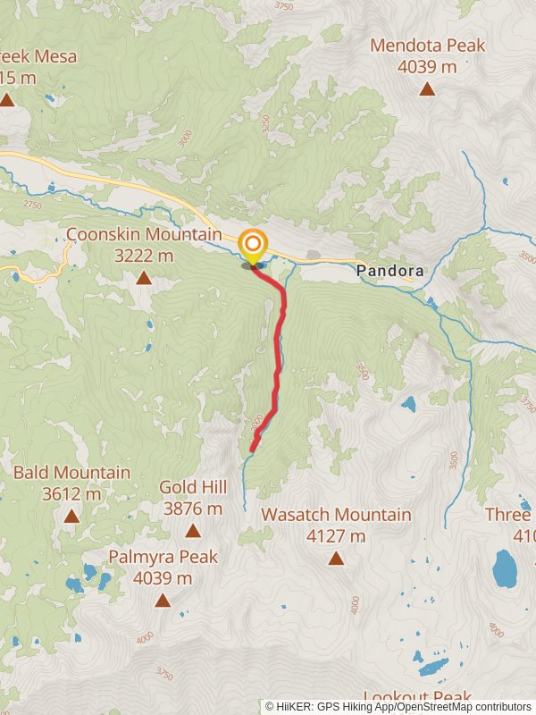 Bear Pond and Bear Creek Preserve