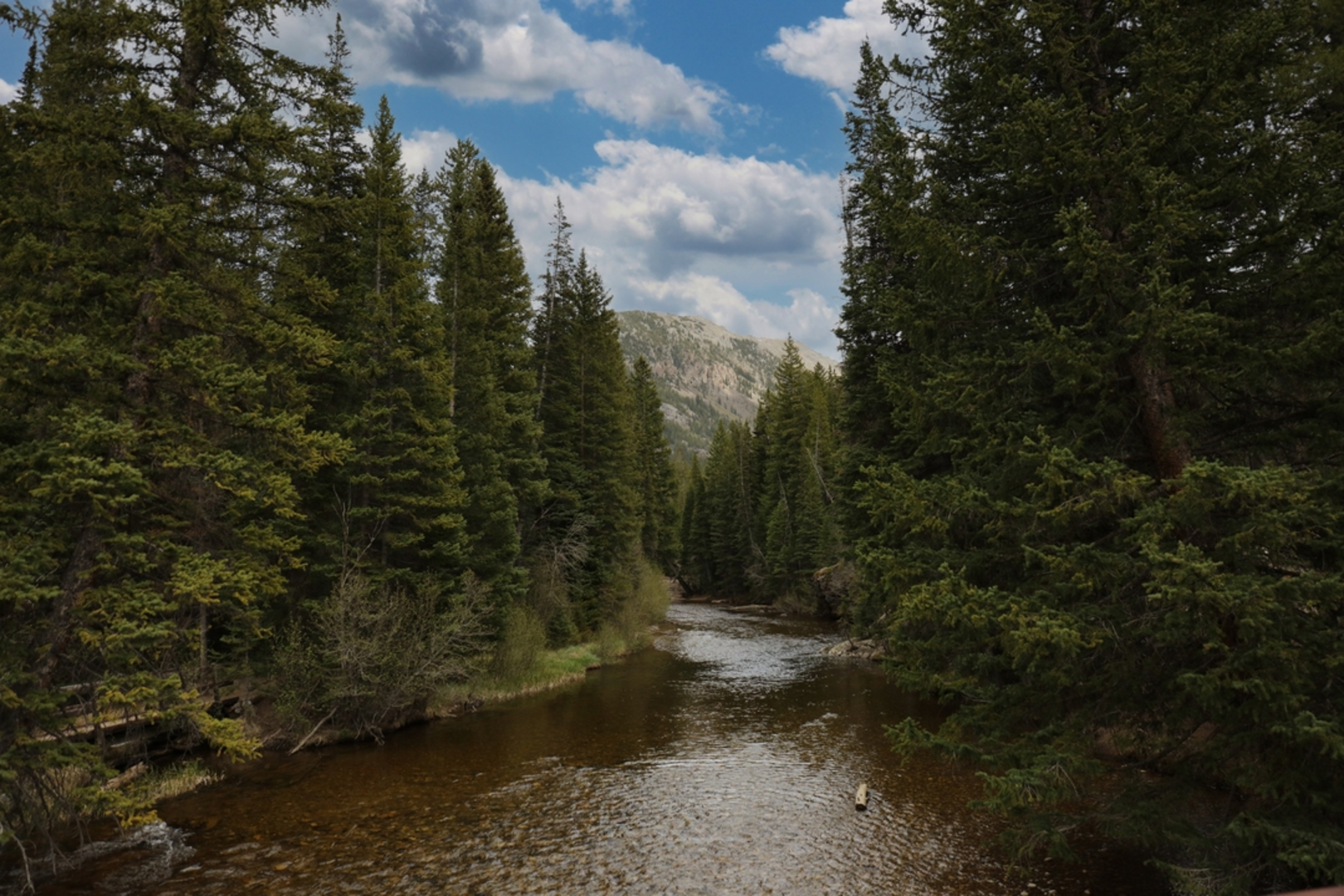 An image depicting the trail The Grottos and Roaring Fork River Loop and its surrounding area.