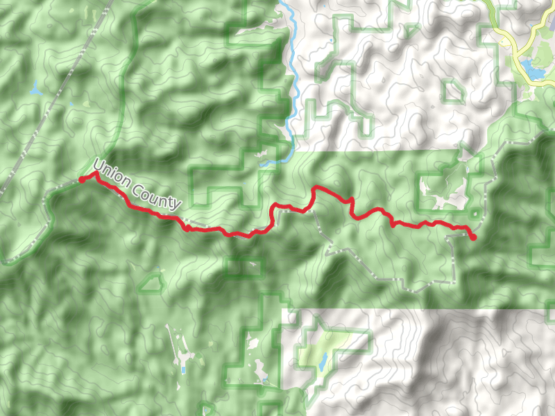 Appalachian Trail from Blue Ridge Road