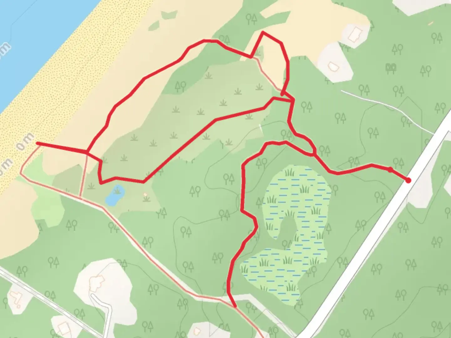 An image depicting the trail Ackerly Pond Lane Loop and its surrounding area.