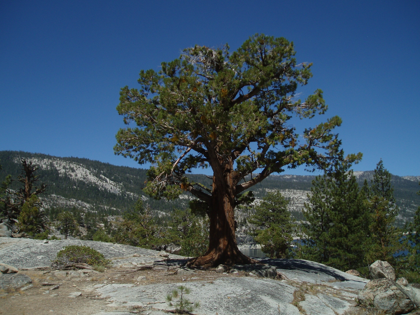 An image depicting the trail Dutch Lake via Crater Lake Trail and its surrounding area.