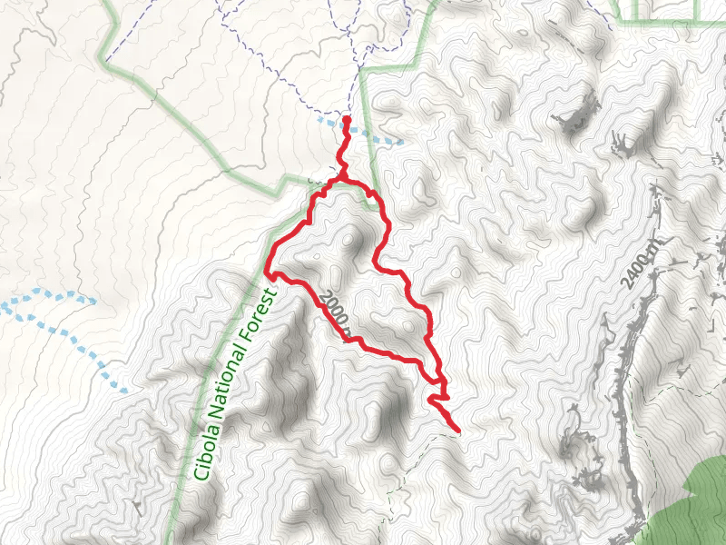 Piedra Lisa Trail and Del Agua Loop Trail