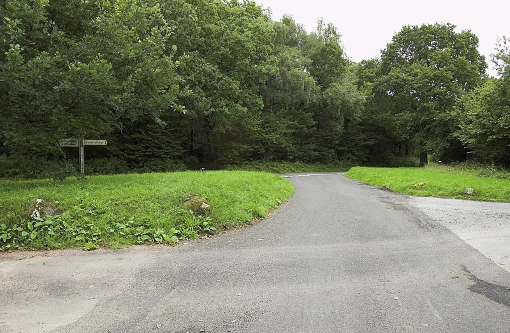 An image depicting the trail River Dart Country Park Walk and its surrounding area.