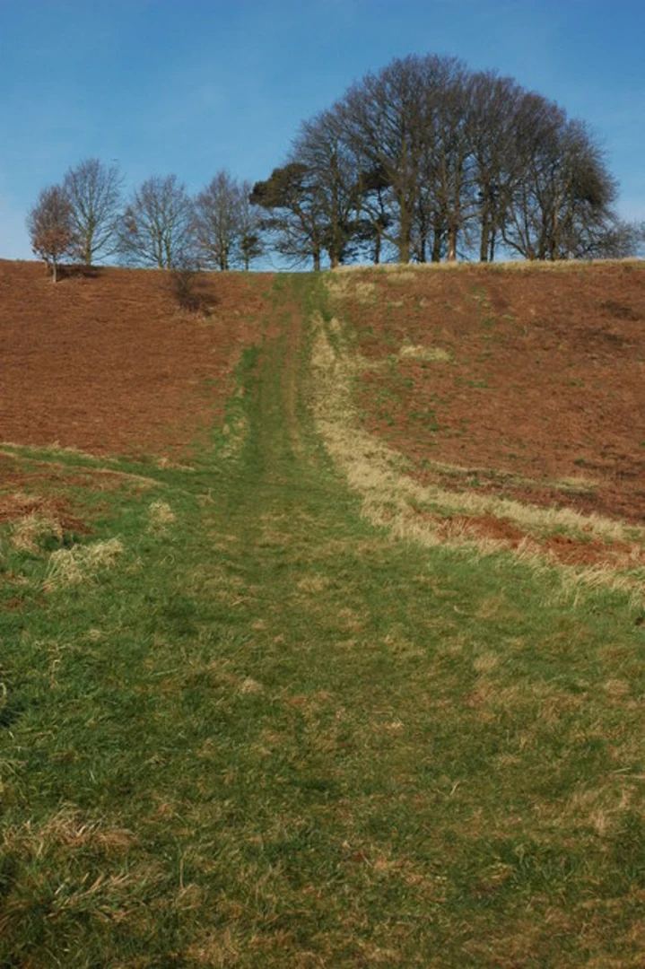An image depicting the trail Brockhampton Park and Warren Wood Loop and its surrounding area.