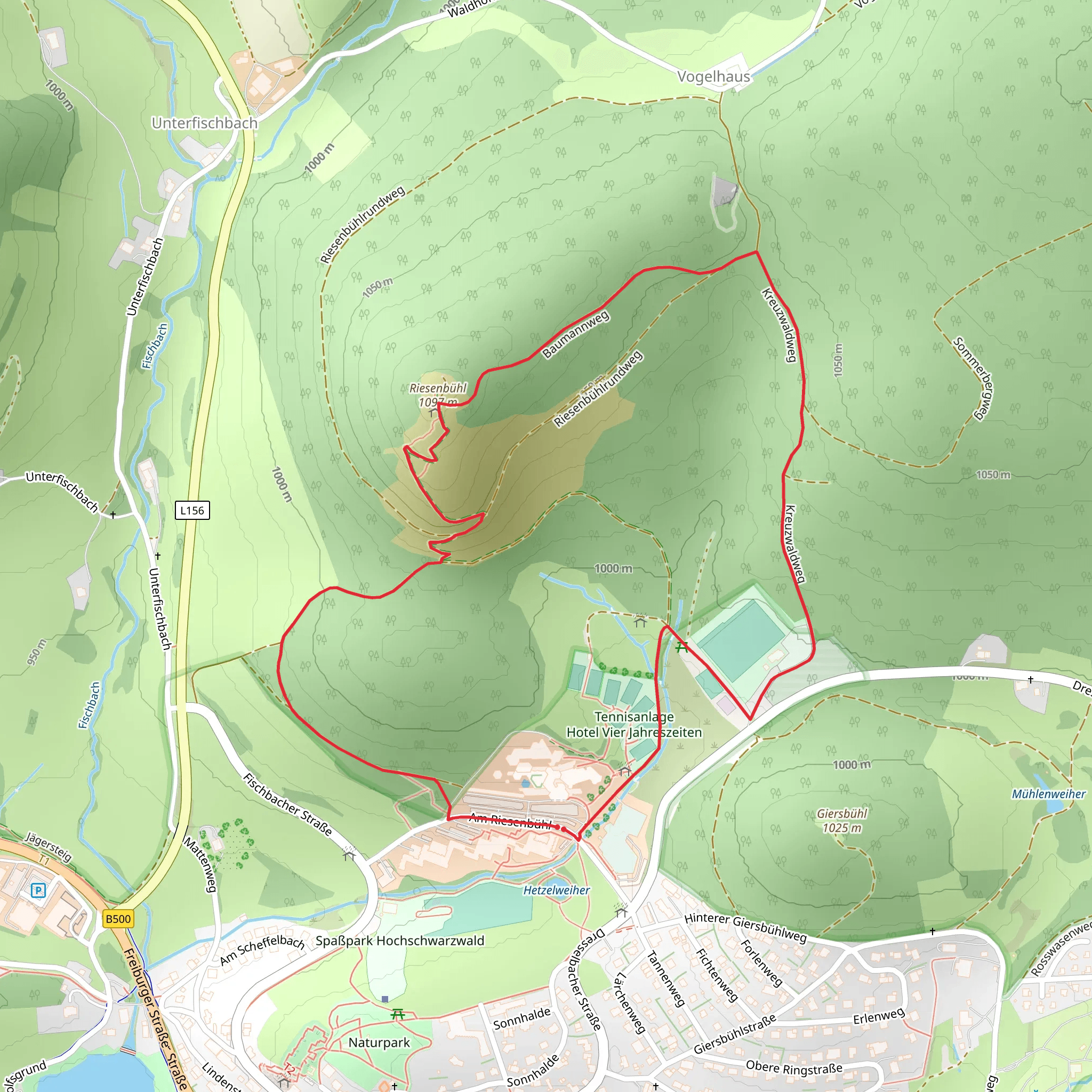 Riesenbühlstüble Peak Loop via Riesenbühlweg Vogelhaus mobile static map