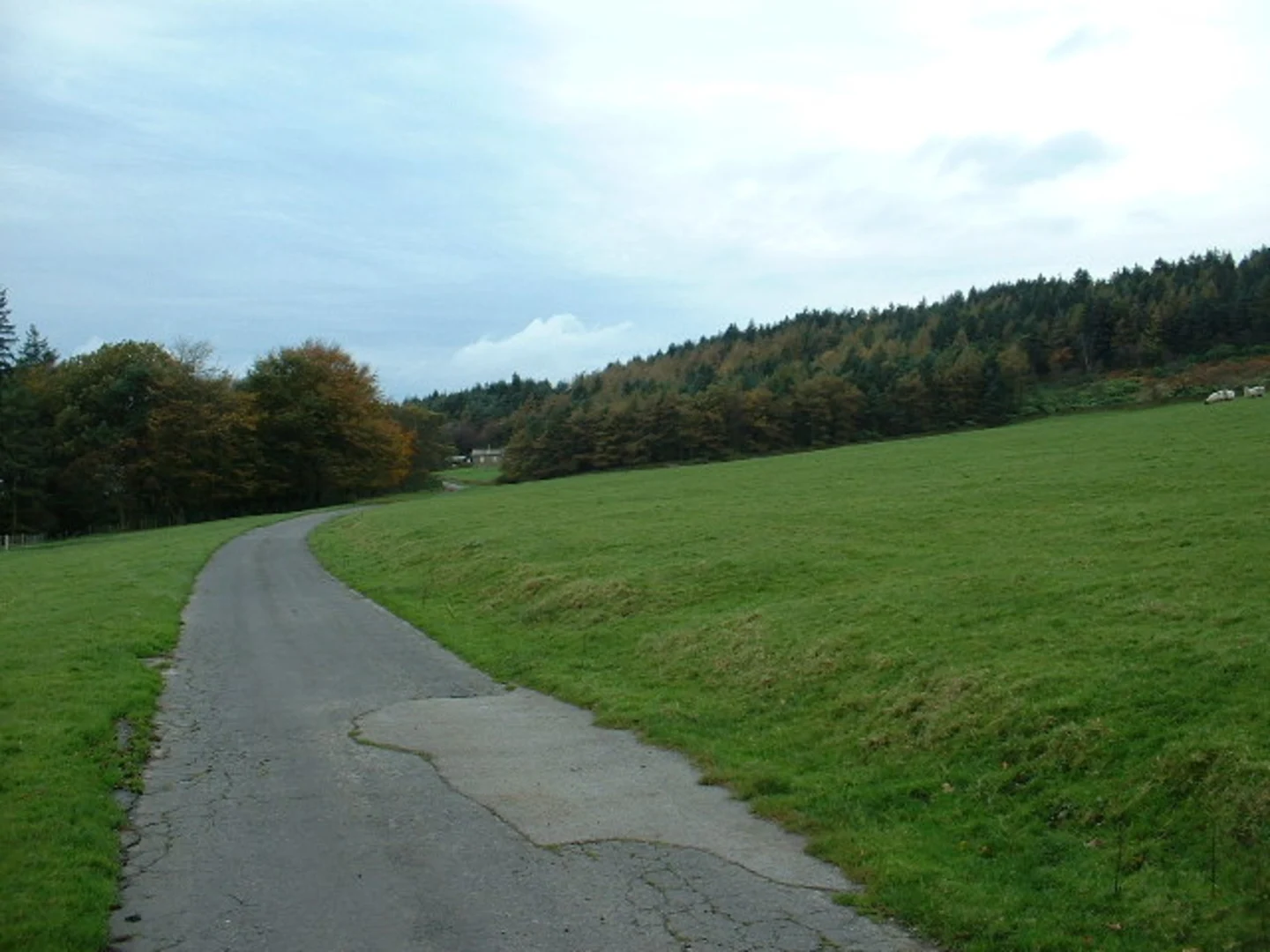 An image depicting the trail Brock Valley Picnic Site Loop and its surrounding area.