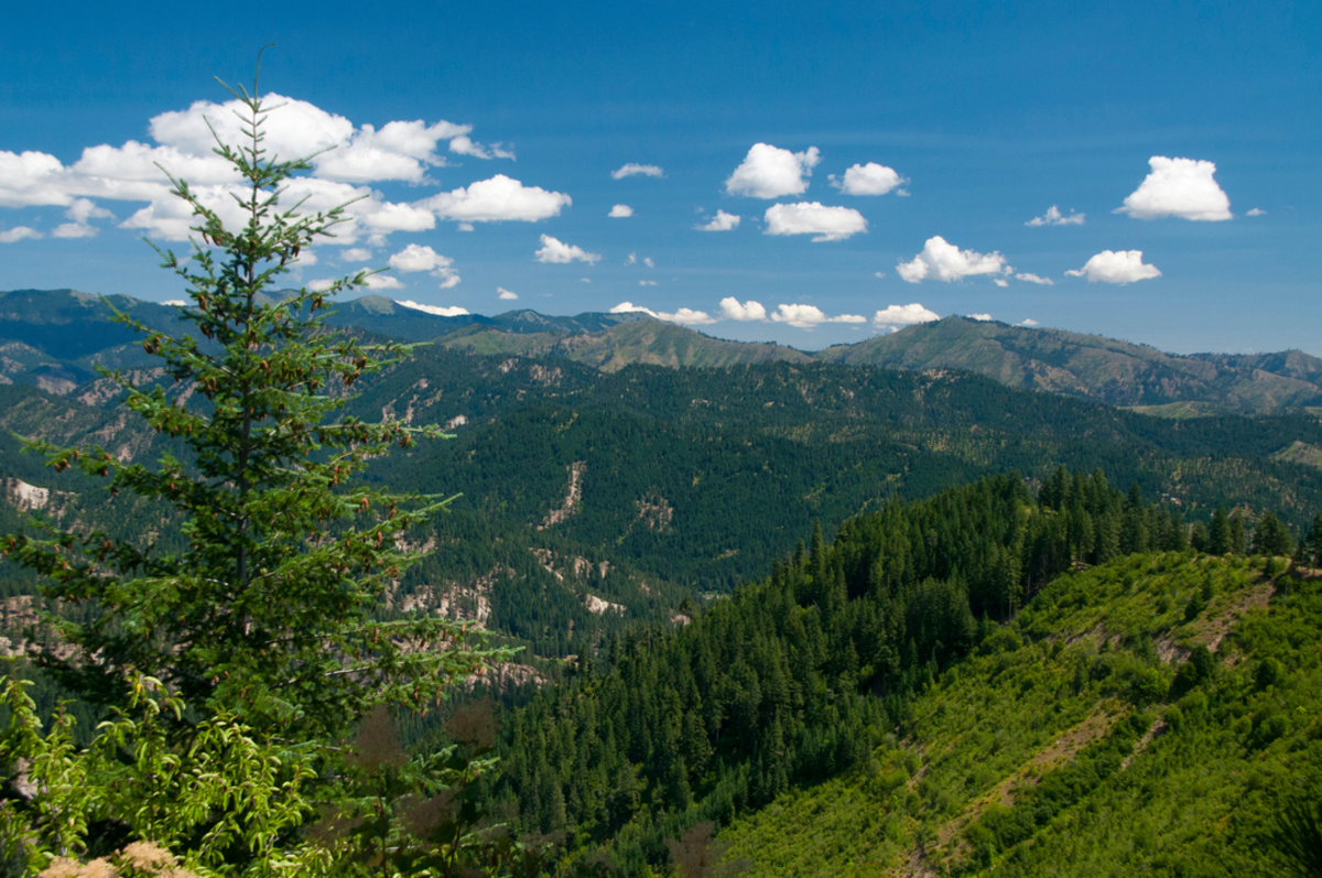 Freund Canyon Loop Trail