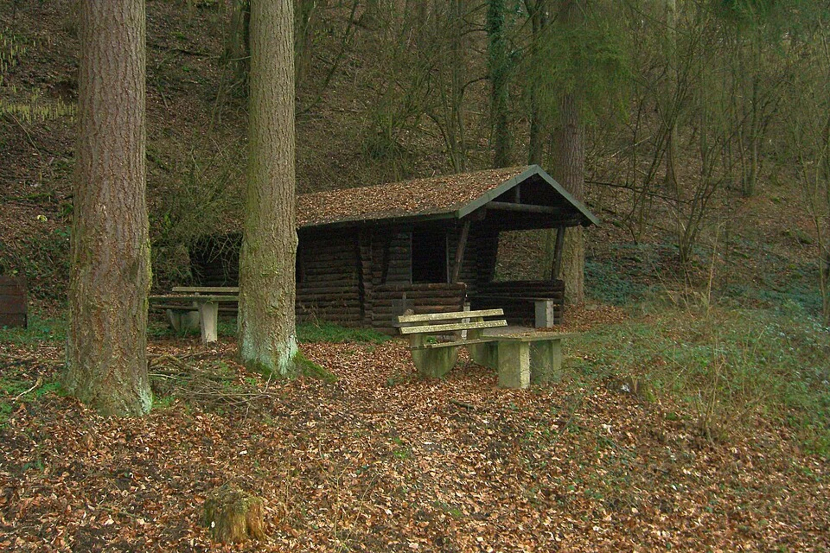 An image depicting the trail Fachbach and Lahnbergerhof Loop and its surrounding area.