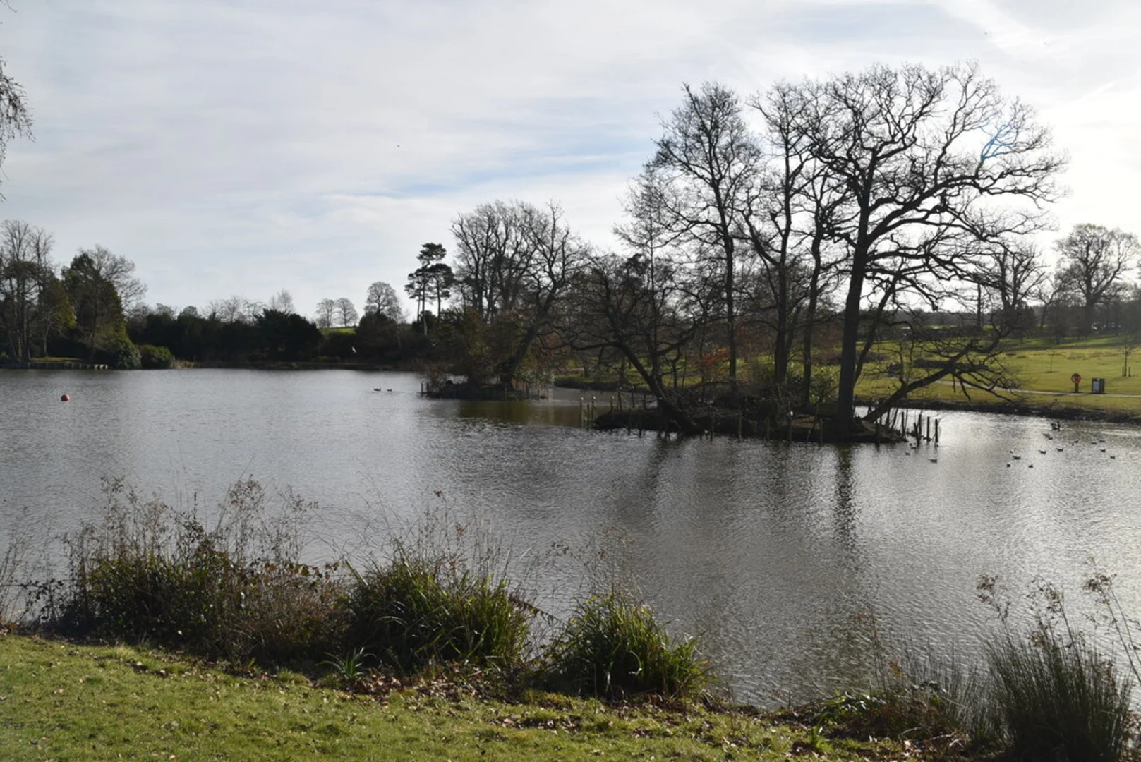 An image depicting the trail Dunorlan Park and its surrounding area.
