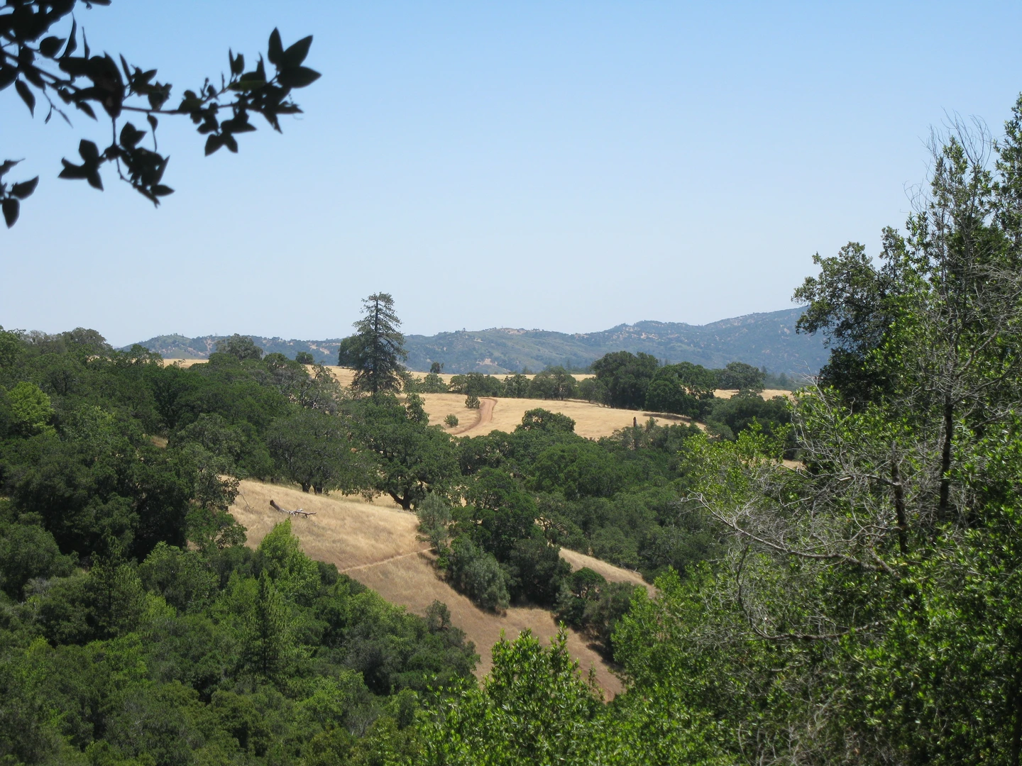 An image depicting the trail Gilroy Hot Springs Road, Jackson, Elderberry Spring and Grizzly Gulch Loop Trail and its surrounding area.