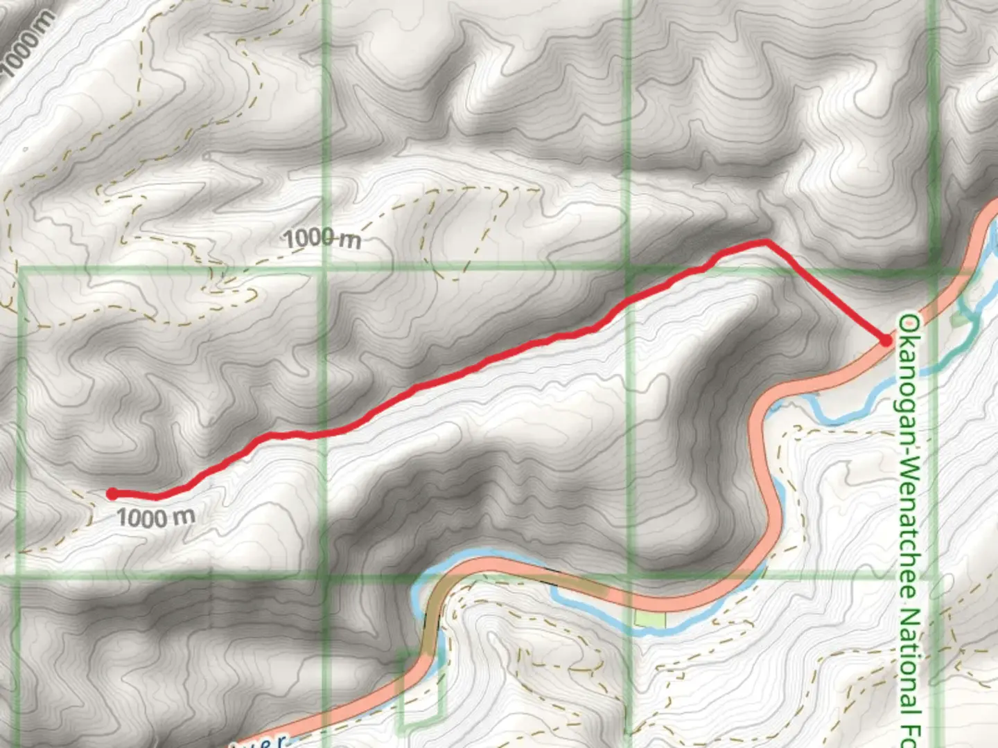 An image depicting the trail Bear Canyon Trail and its surrounding area.